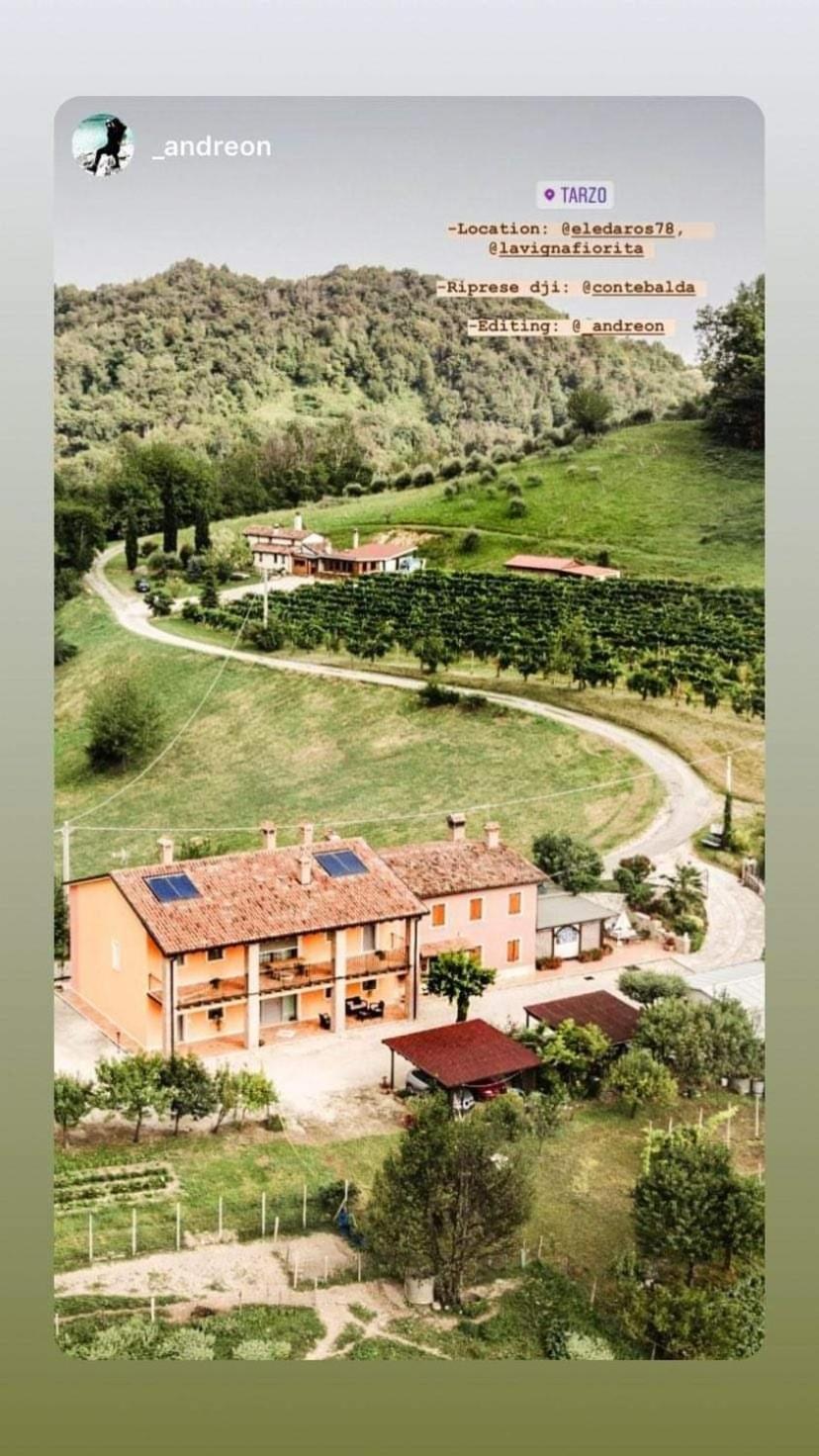 La Vigna Fiorita B&B Tarzo Exterior photo